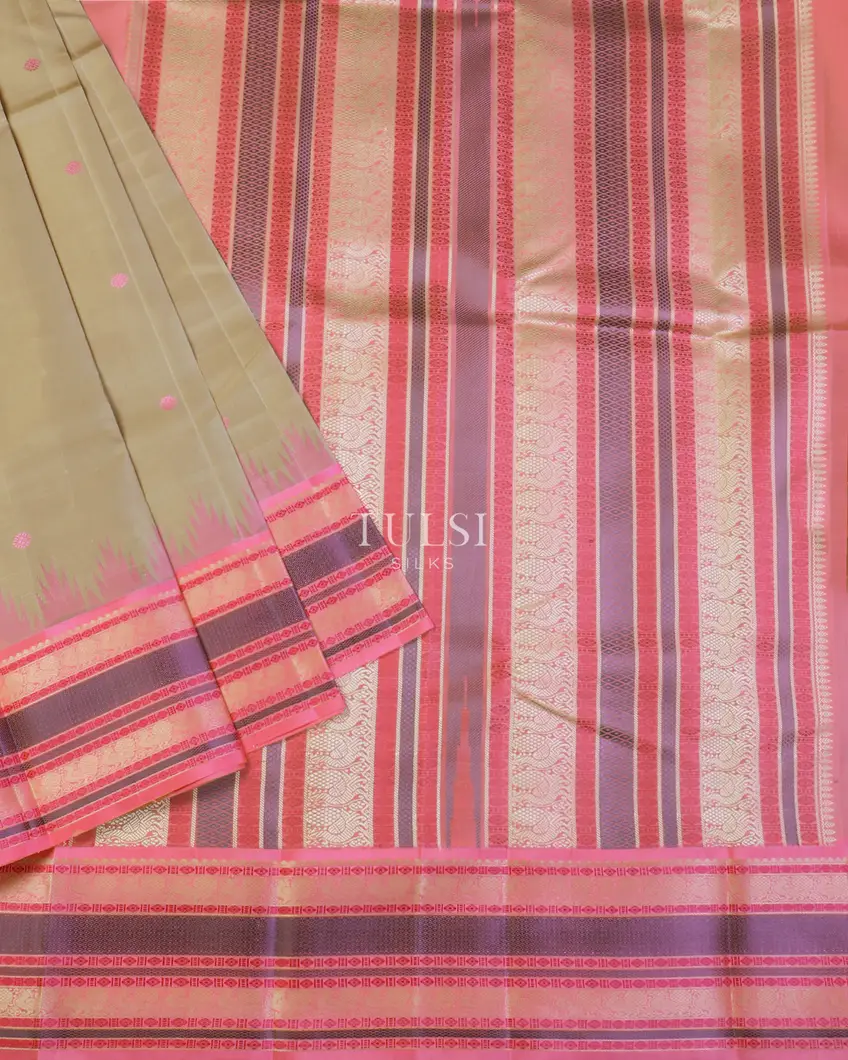 light-khaki-brown-kanjivaram-silk-saree-t582249-t582249-b