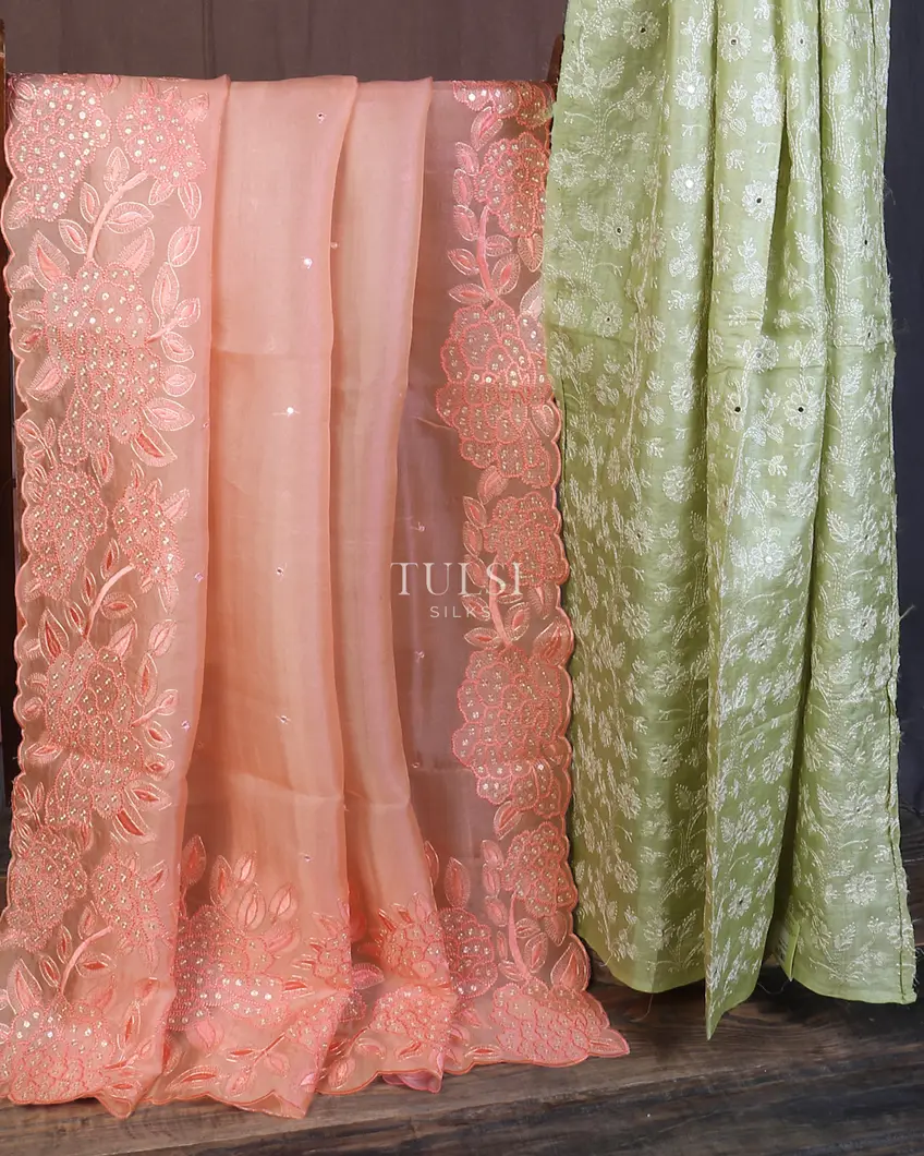 peach-kora-organza-embroidery-saree-t577269-t577269-b