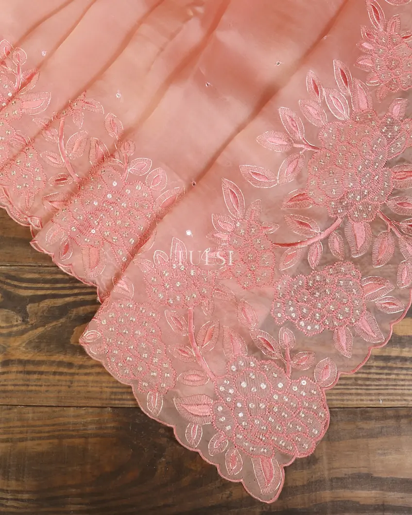 peach-kora-organza-embroidery-saree-t577269-t577269-e