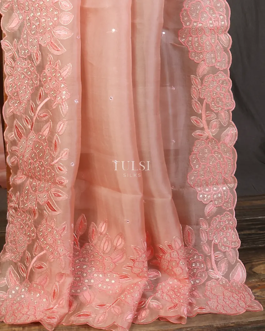 peach-kora-organza-embroidery-saree-t577269-t577269-f