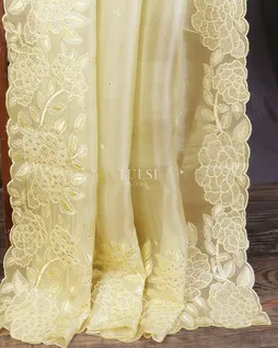 yellow-kora-organza-embroidery-saree-t577270-t577270-f