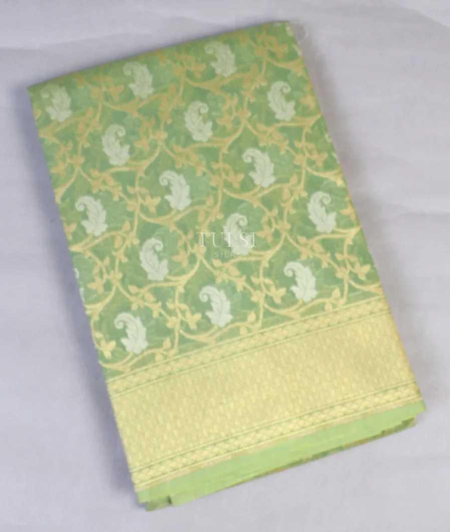 Green Banaras Cotton Saree T573986-image