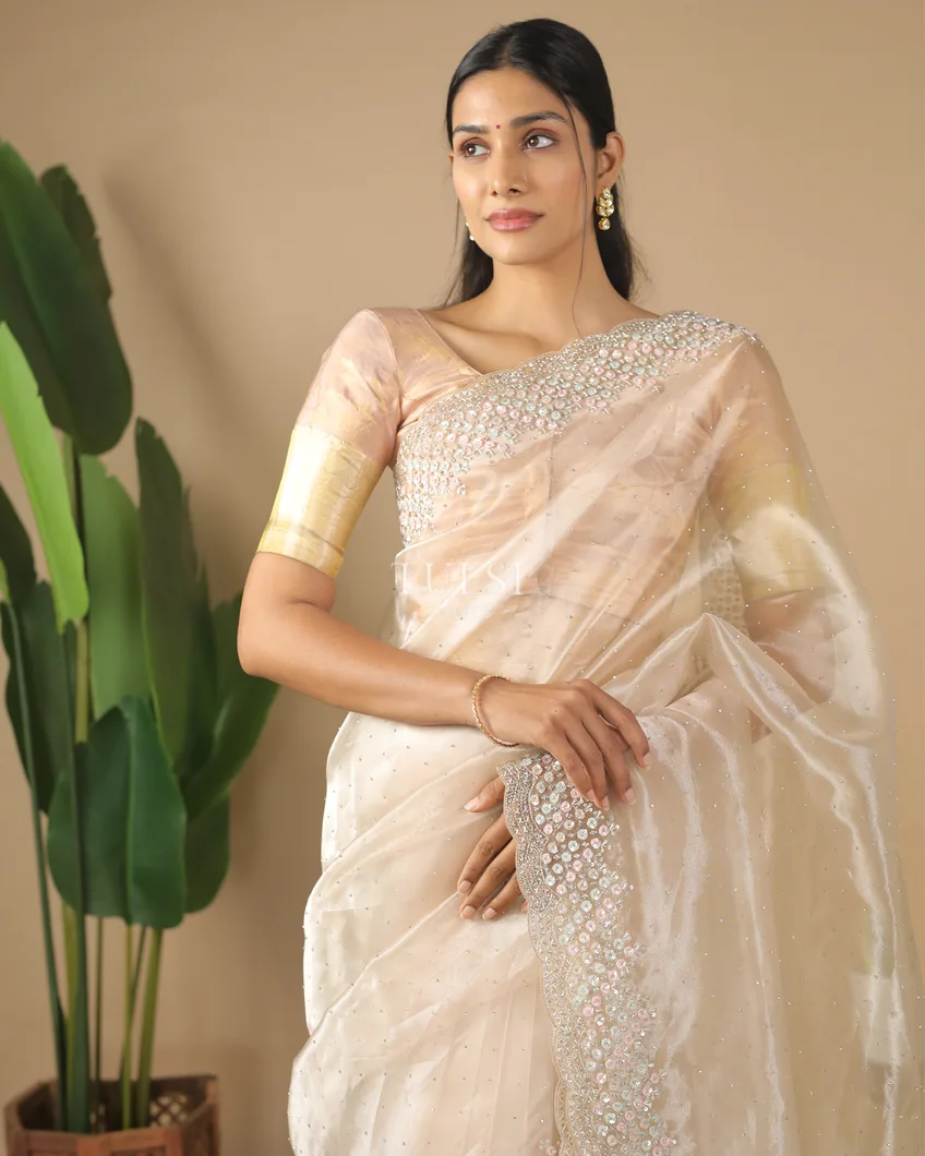Light Beige Kora Organza Embroidery Saree T571244-image