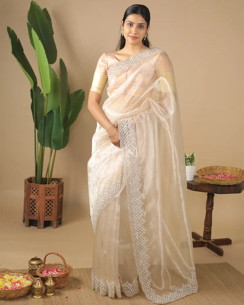 light-beige-kora-organza-embroidery-saree-t571244-t571244-b