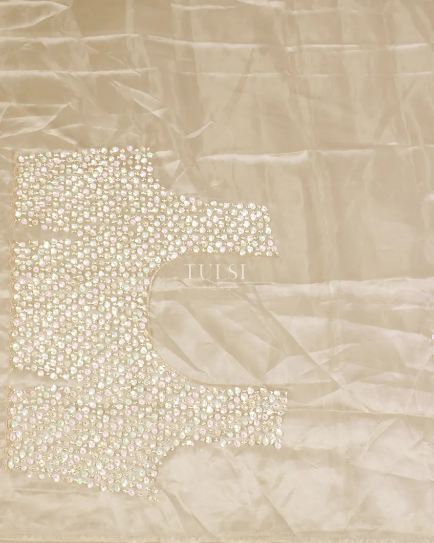 light-beige-kora-organza-embroidery-saree-t571244-t571244-c