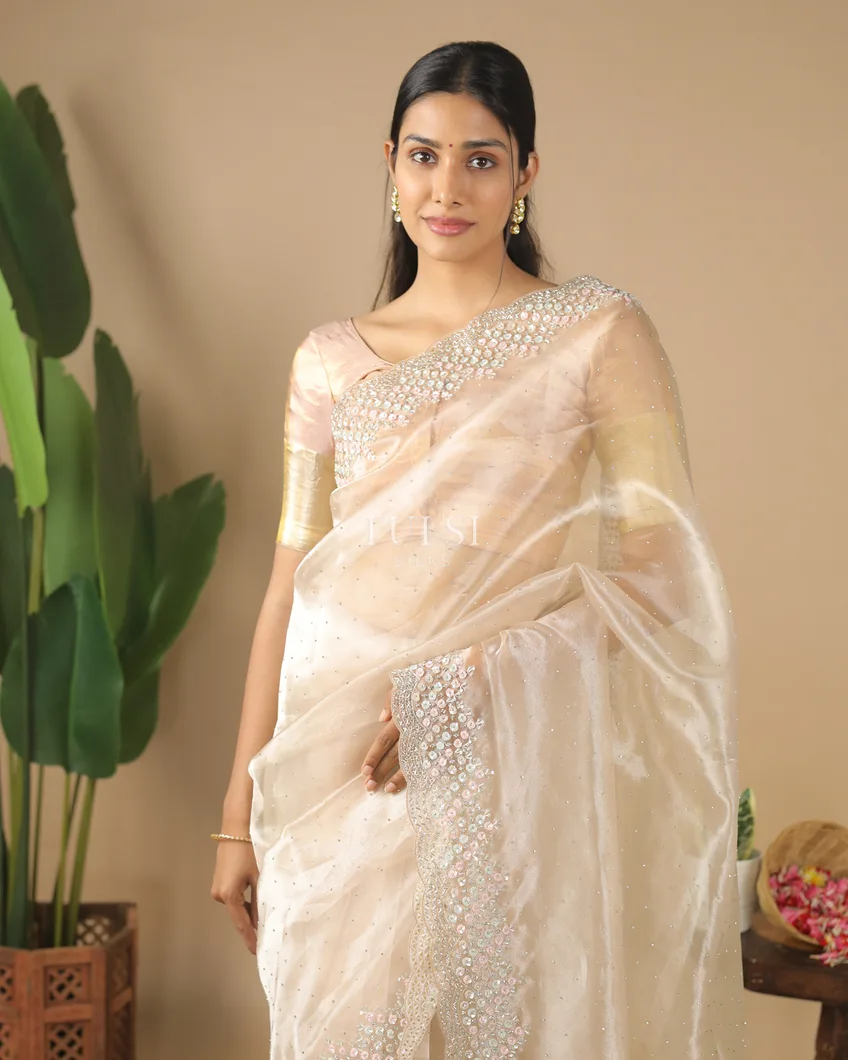 light-beige-kora-organza-embroidery-saree-t571244-t571244-d