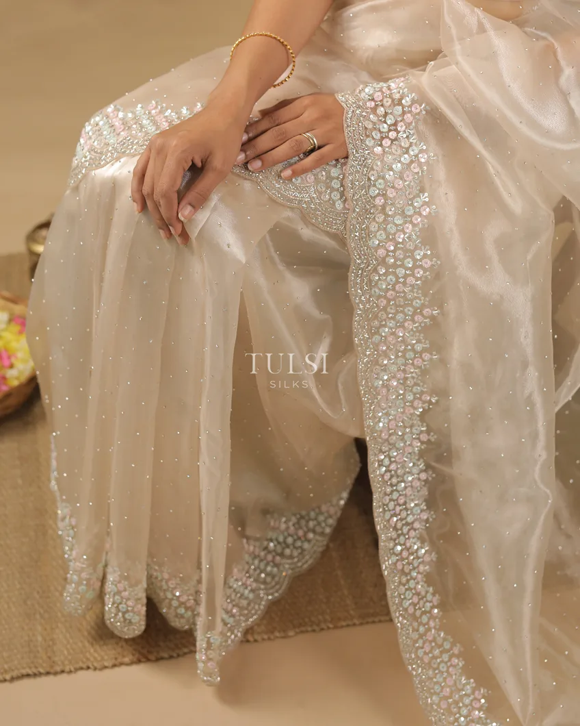 light-beige-kora-organza-embroidery-saree-t571244-t571244-g