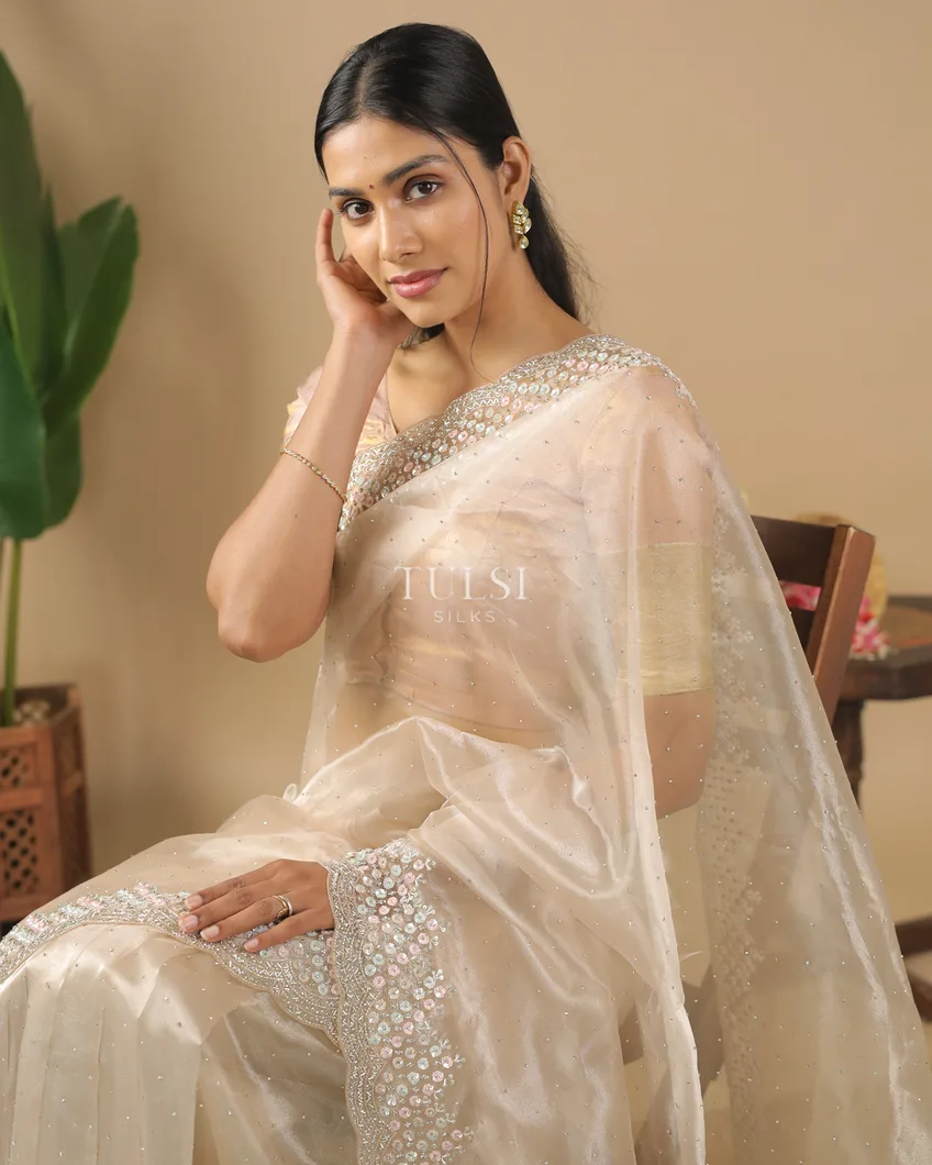 light-beige-kora-organza-embroidery-saree-t571244-t571244-i