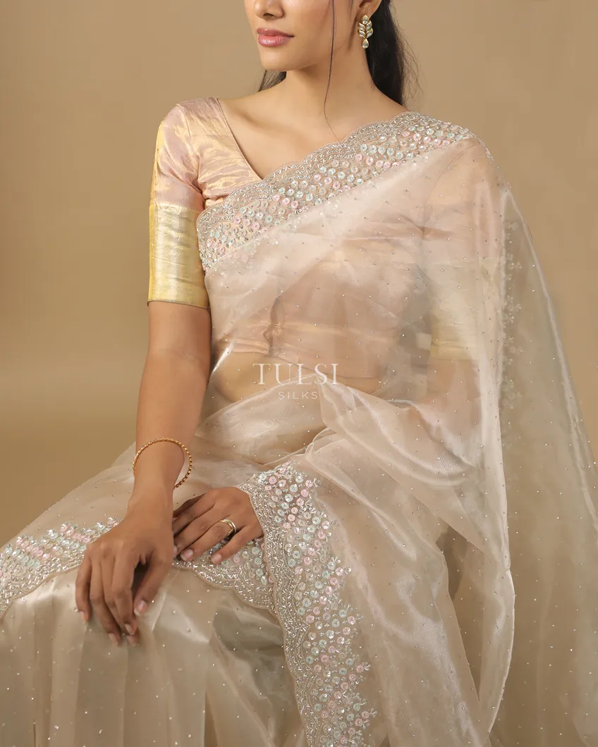 light-beige-kora-organza-embroidery-saree-t571244-t571244-j