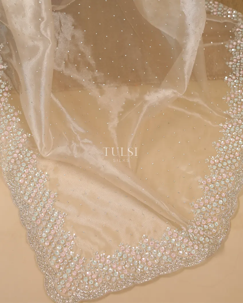 light-beige-kora-organza-embroidery-saree-t571244-t571244-k