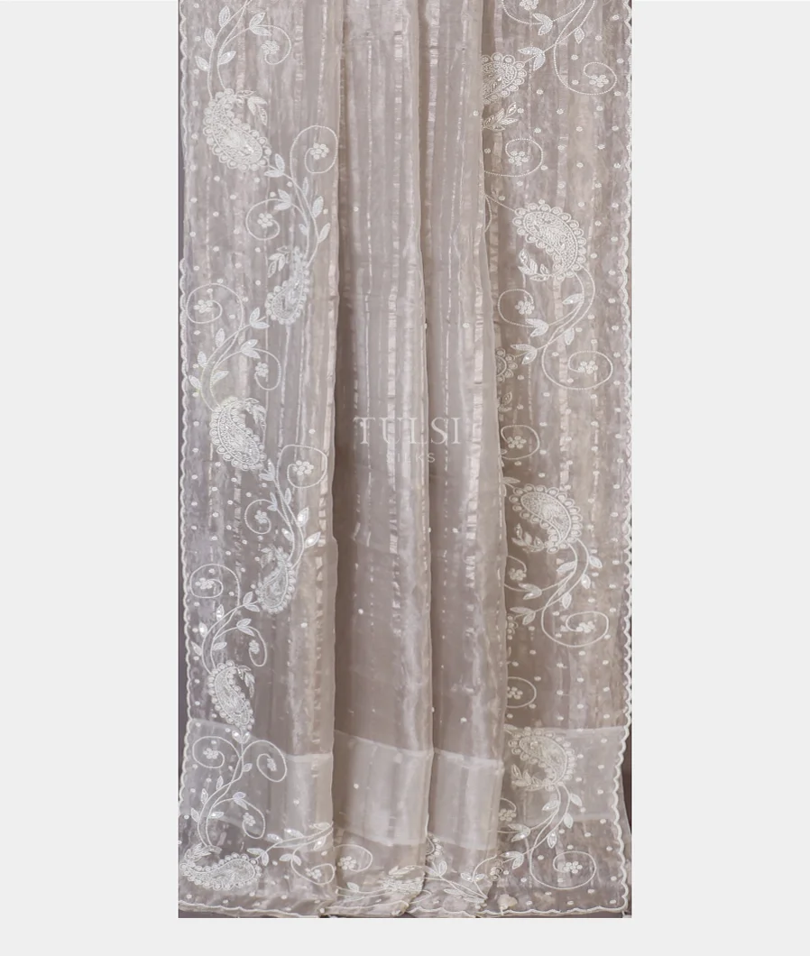 silver-grey-kora-tissue-organza-embroidery-saree-t565741-t565741-b