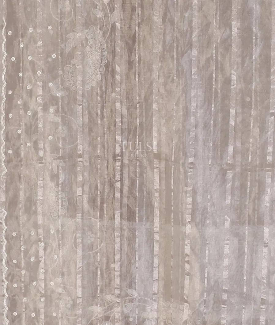silver-grey-kora-tissue-organza-embroidery-saree-t565741-t565741-c