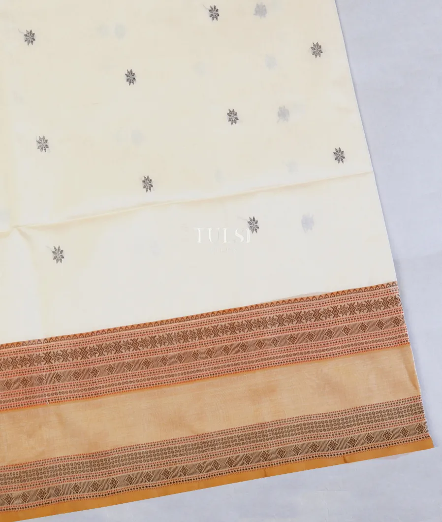 Off - White Silk Cotton Saree T586618-image