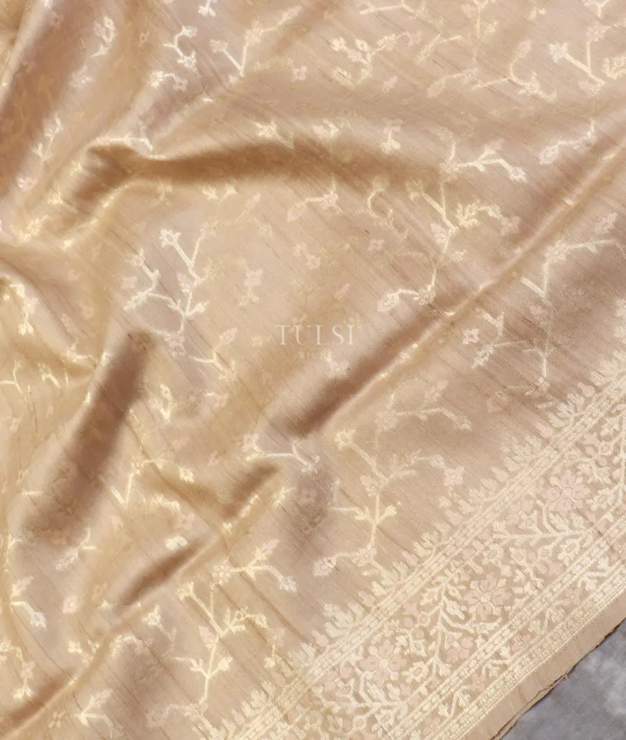 beige-banaras-tussar-saree-t569874-t569874-d