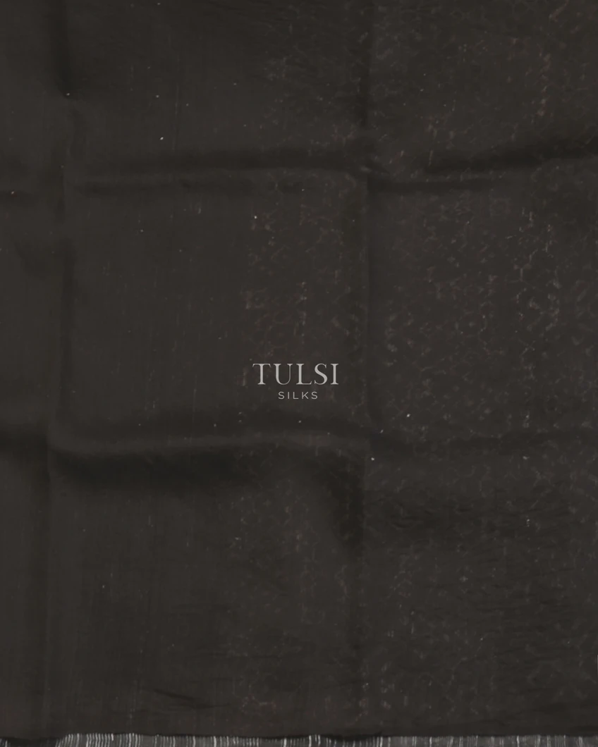 black-tussar-organza-saree-t586196-t586196-c