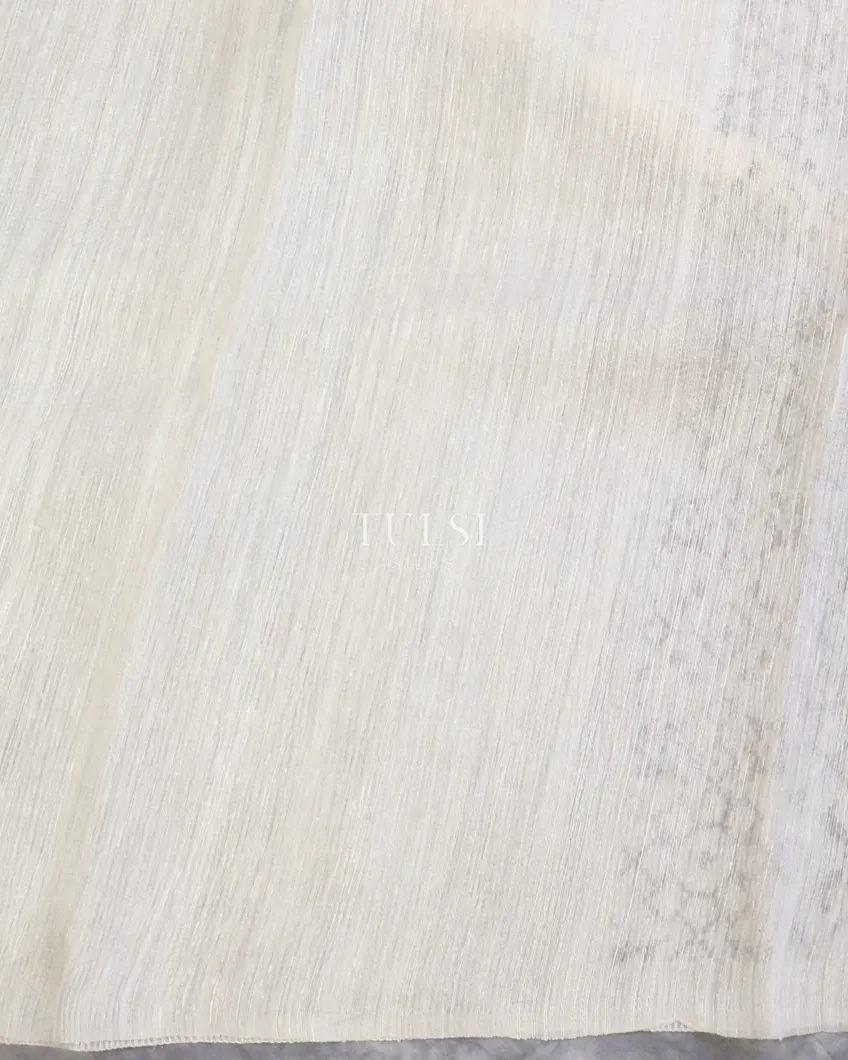 off-white-tussar-organza-saree-t586193-t586193-c