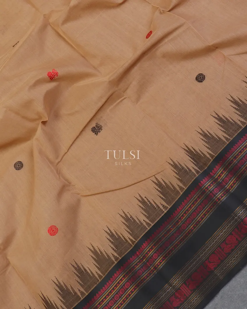 beige-kanji-cotton-with-silk-border-t582271-t582271-e