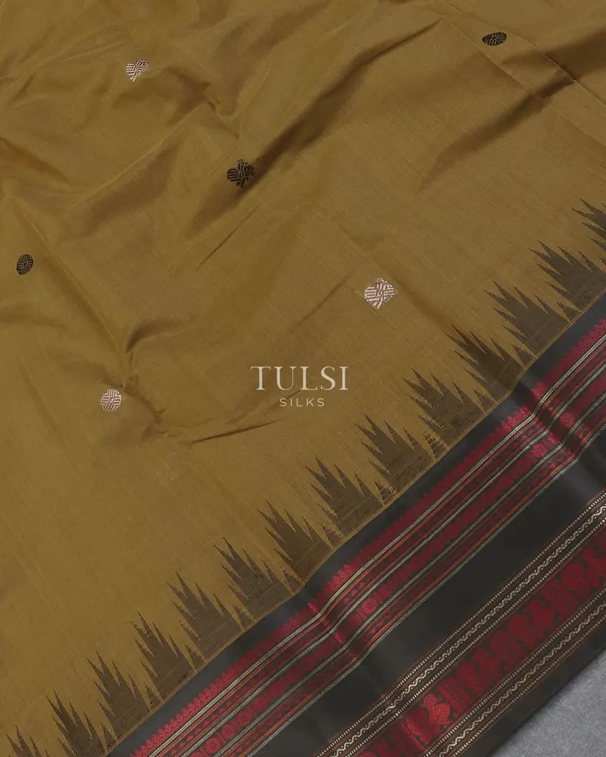 green-kanchi-cotton-with-silk-border-t587292-t587292-e