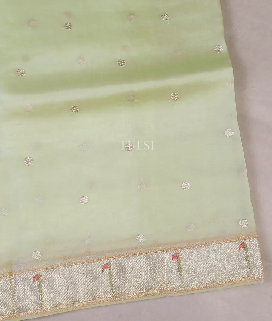 Light Green Kora Organza Embroidery Saree T585001-image