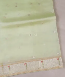 green-kora-organza-embroidery-saree-t585001-t585001-a
