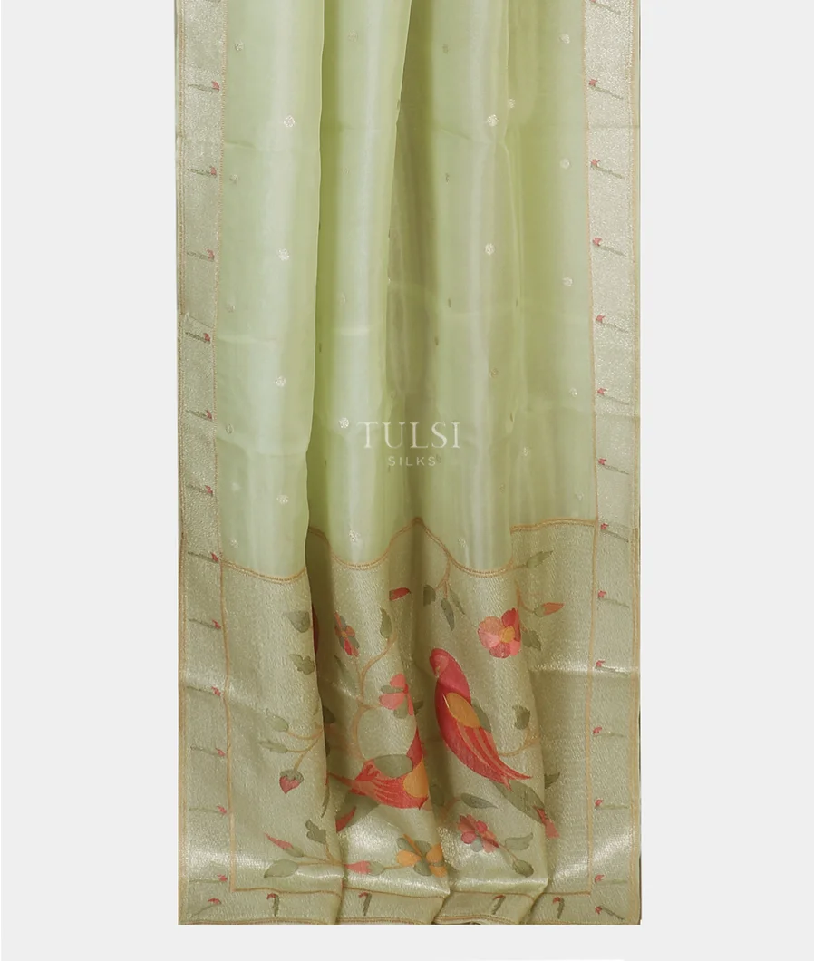 green-kora-organza-embroidery-saree-t585001-t585001-b