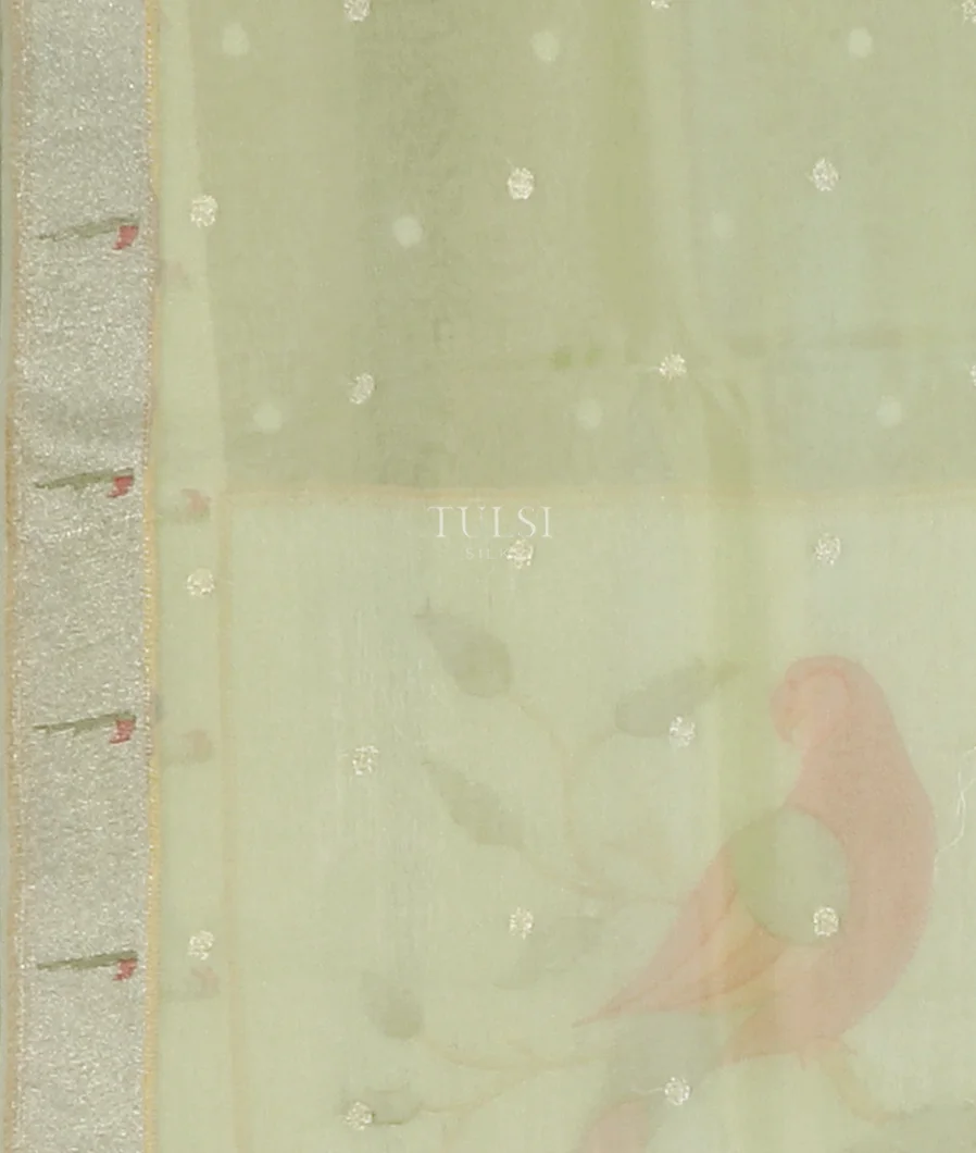 green-kora-organza-embroidery-saree-t585001-t585001-c