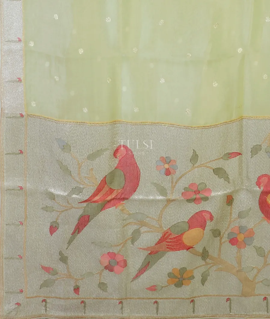 green-kora-organza-embroidery-saree-t585001-t585001-d