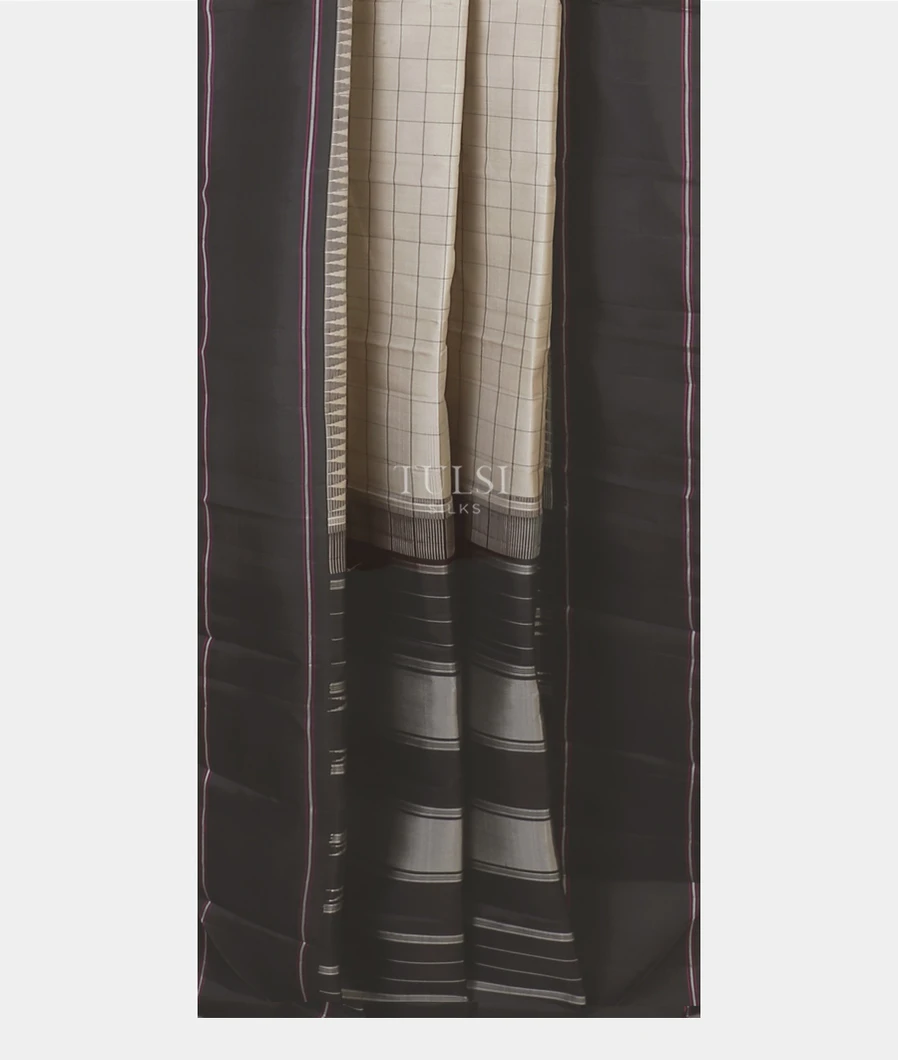 grey-kanjivaram-silk-saree-t583061-t583061-b