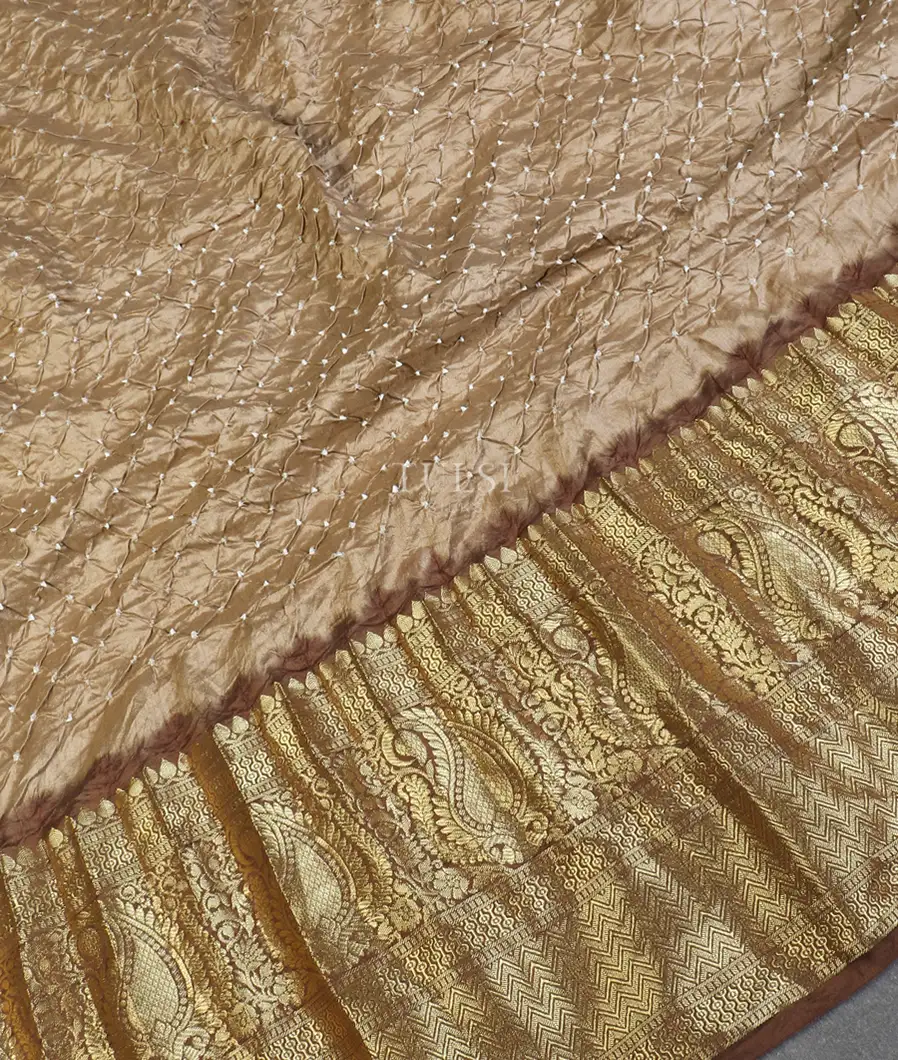 beige-bandhani-chaniya-silk-saree-t569022-t569022-d