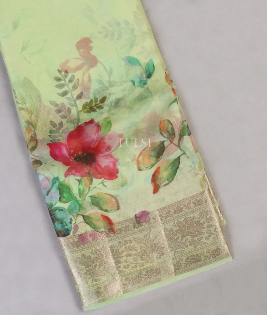 Light Green Kora Organza Printed Saree T441645-1-image
