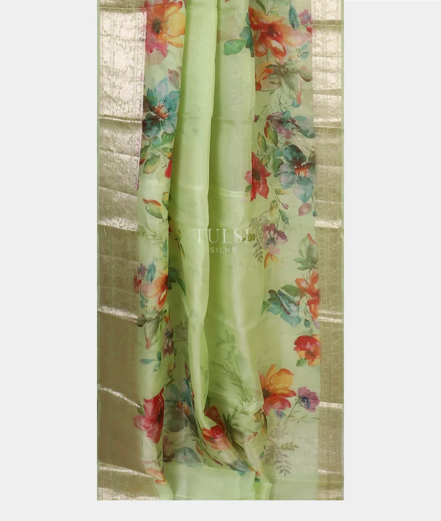 light-green-kora-organza-printed-saree-t441645-1-t441645-1-b