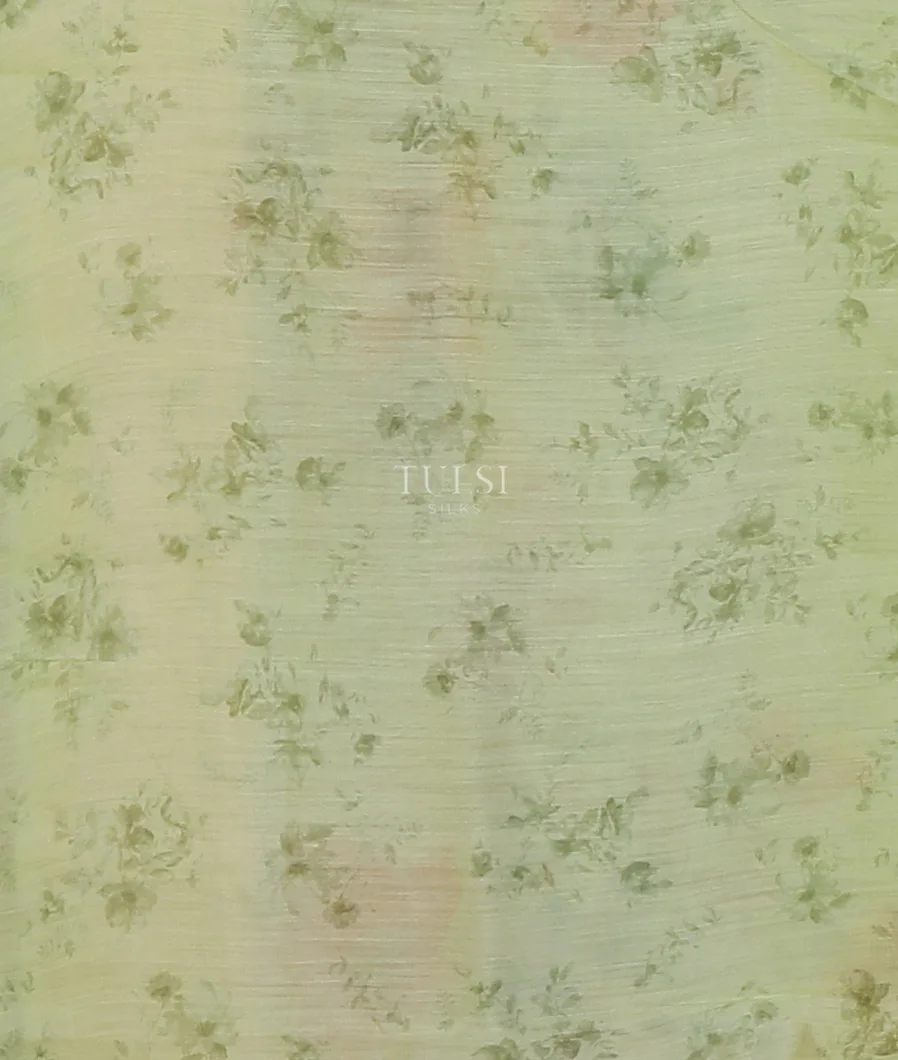 light-green-kora-organza-printed-saree-t441645-1-t441645-1-c