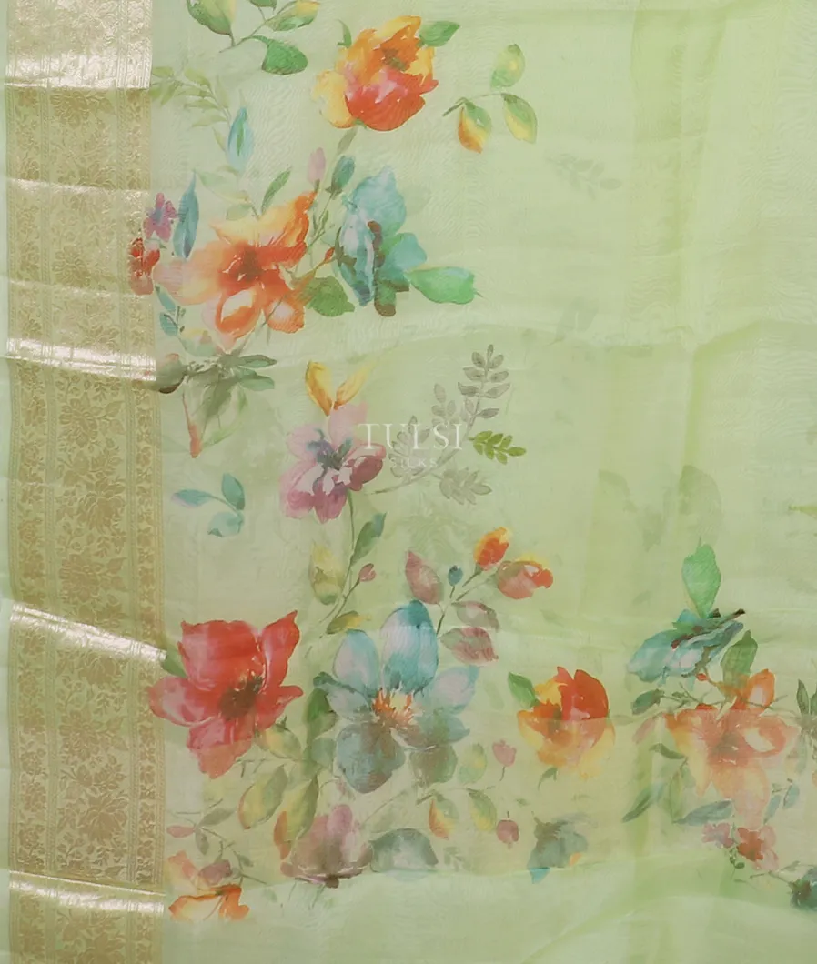 light-green-kora-organza-printed-saree-t441645-1-t441645-1-d