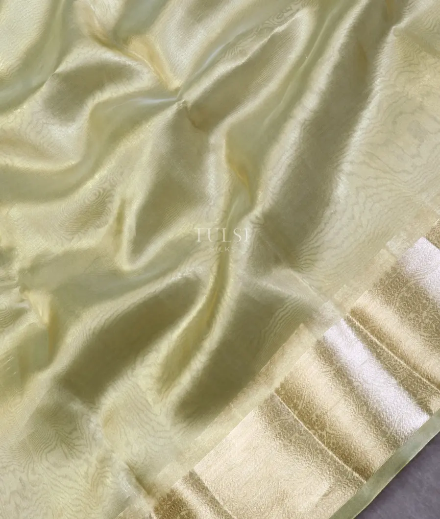 green-woven-tissue-organza-saree-t588746-t588746-g