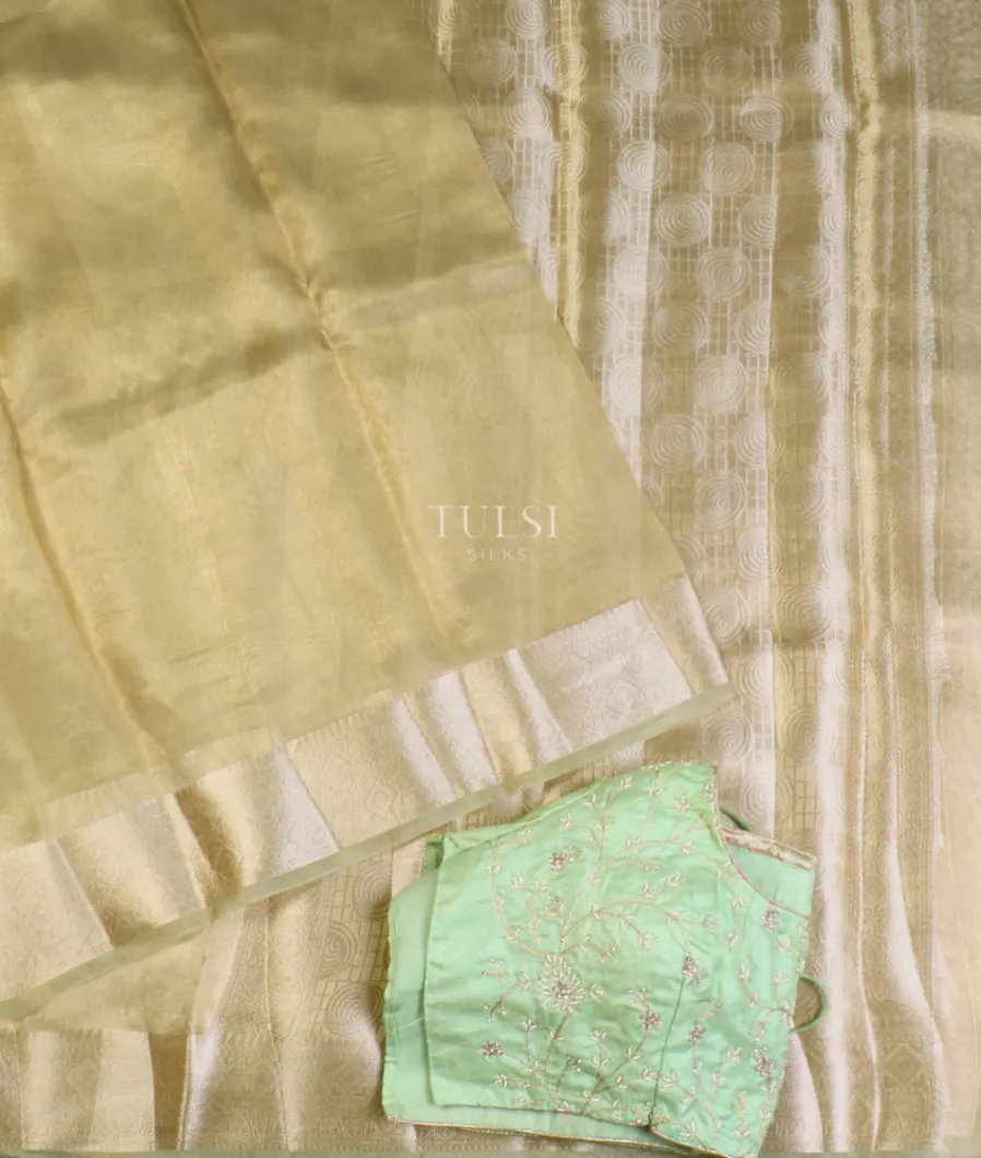 greenish-beige-woven-tissue-organza-saree-t588733-t588733-b