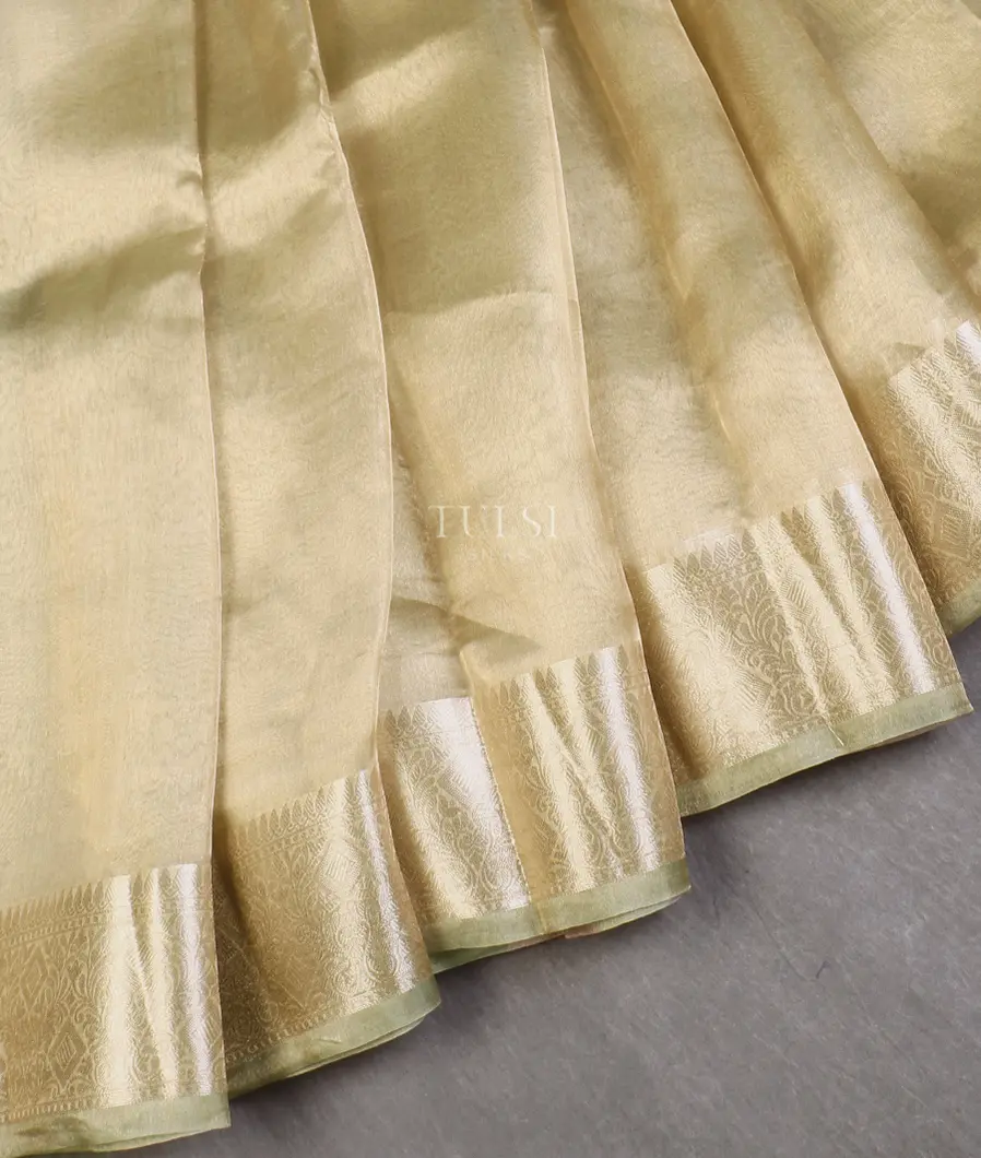 greenish-beige-woven-tissue-organza-saree-t588733-t588733-f