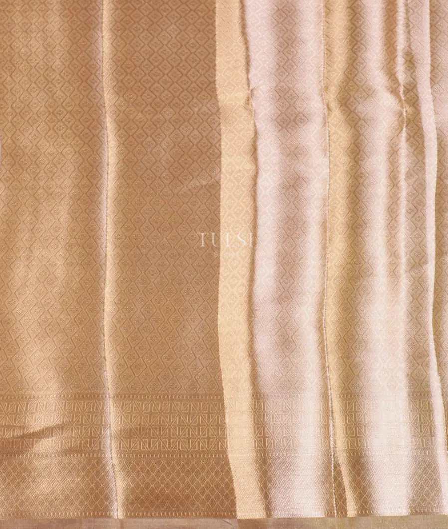 golden-beige-woven-tissue-organza-saree-t588736-t588736-c