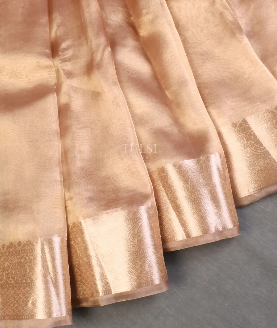 golden-beige-woven-tissue-organza-saree-t588736-t588736-f