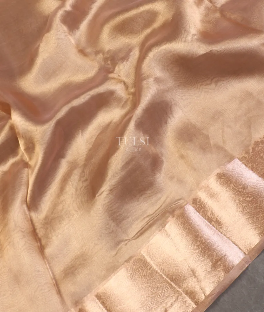 golden-beige-woven-tissue-organza-saree-t588736-t588736-g