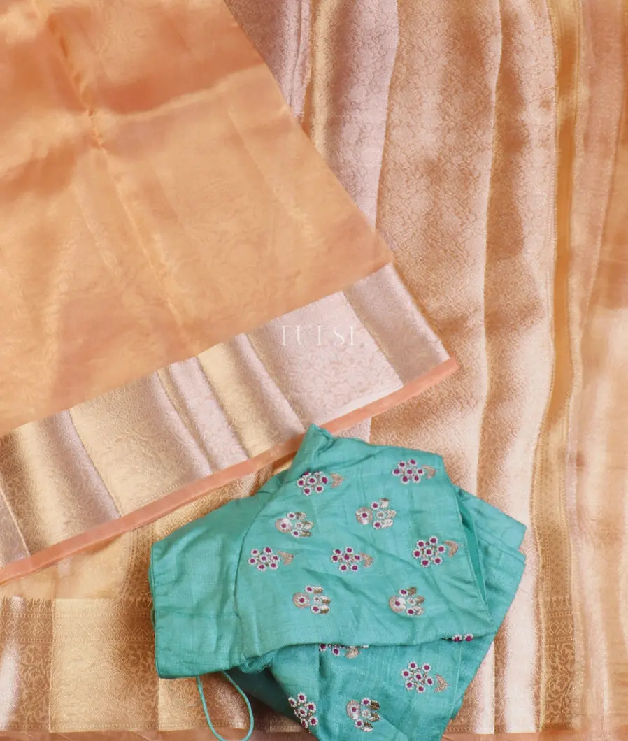 peach-woven-tissue-organza-saree-t588742-t588742-b