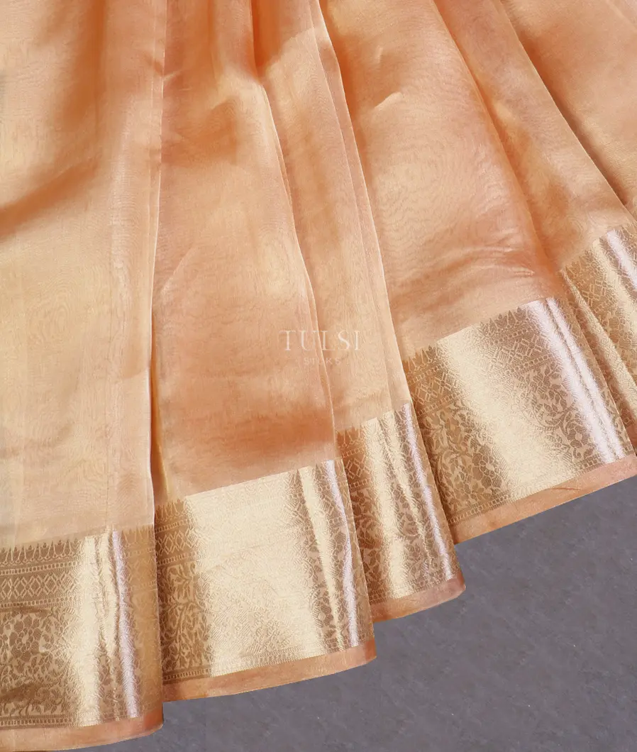 peach-woven-tissue-organza-saree-t588742-t588742-f