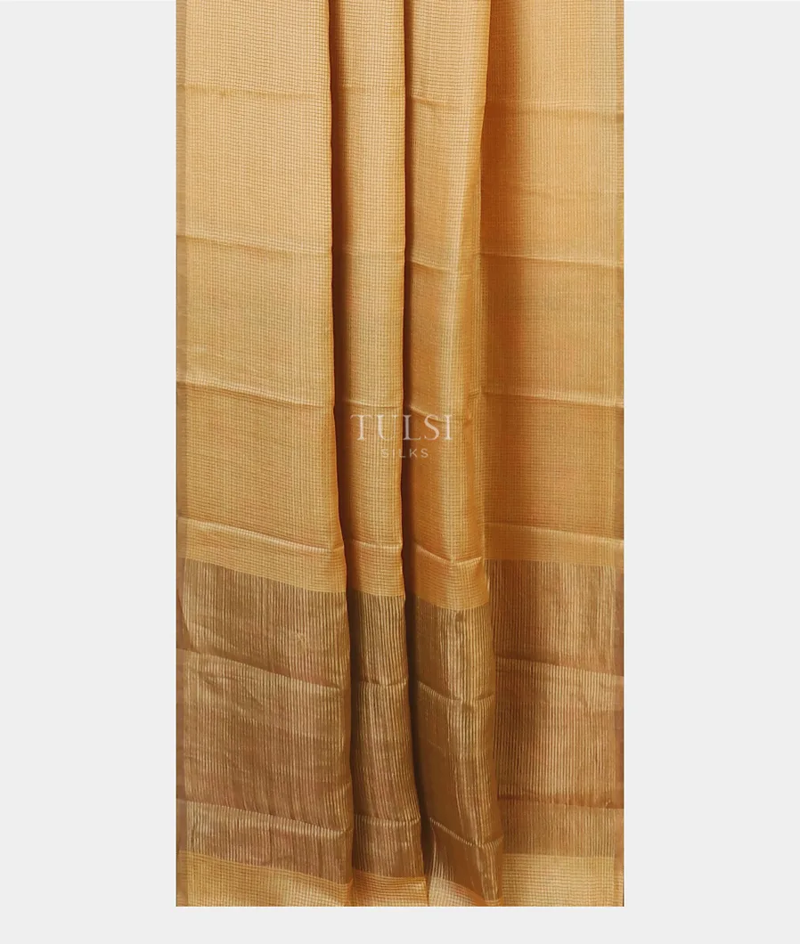 light-yellow-woven-tussar-saree-t587660-t587660-b