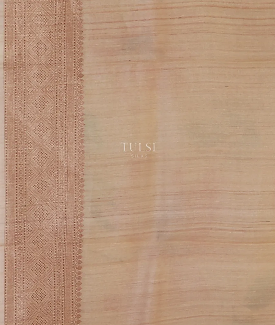 beige-banaras-tussar-georgette-saree-t524277-t524277-c