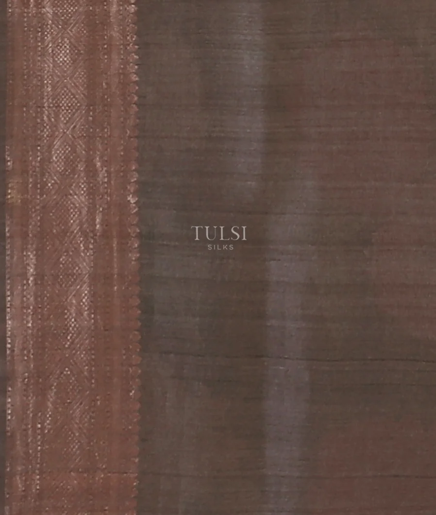 brown-banaras-tussar-georgette-saree-t577282-t577282-c