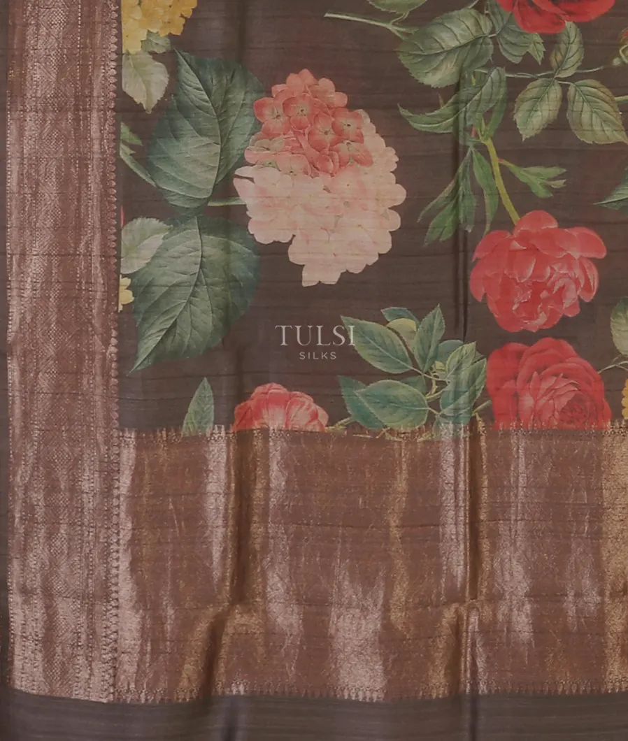 brown-banaras-tussar-georgette-saree-t577282-t577282-d
