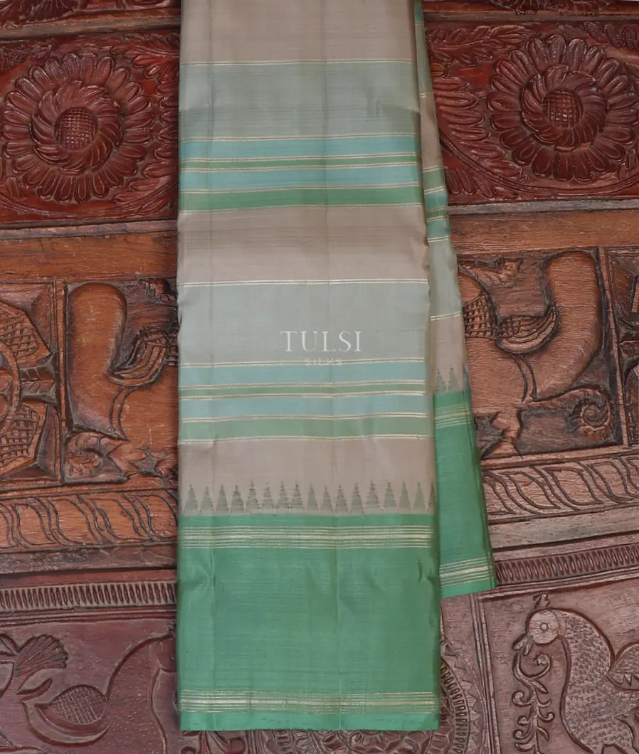Multicolour Kanjivaram Silk Saree T590691-image