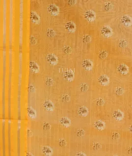 yellow-chanderi-cotton-saree-t591104-t591104-c