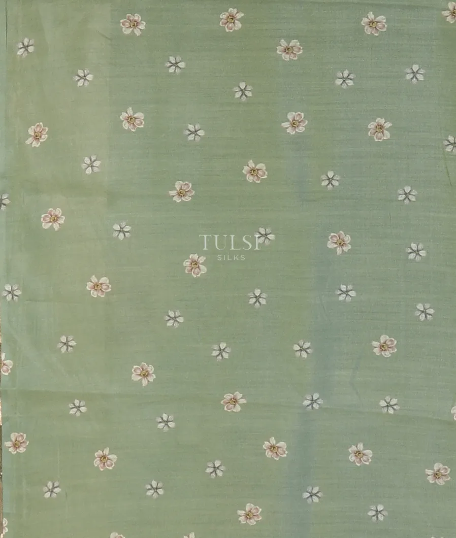 light-green-kora-organza-printed-saree-t519736-t519736-c