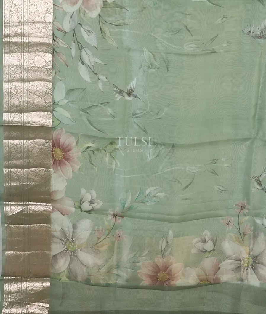 light-green-kora-organza-printed-saree-t519736-t519736-d