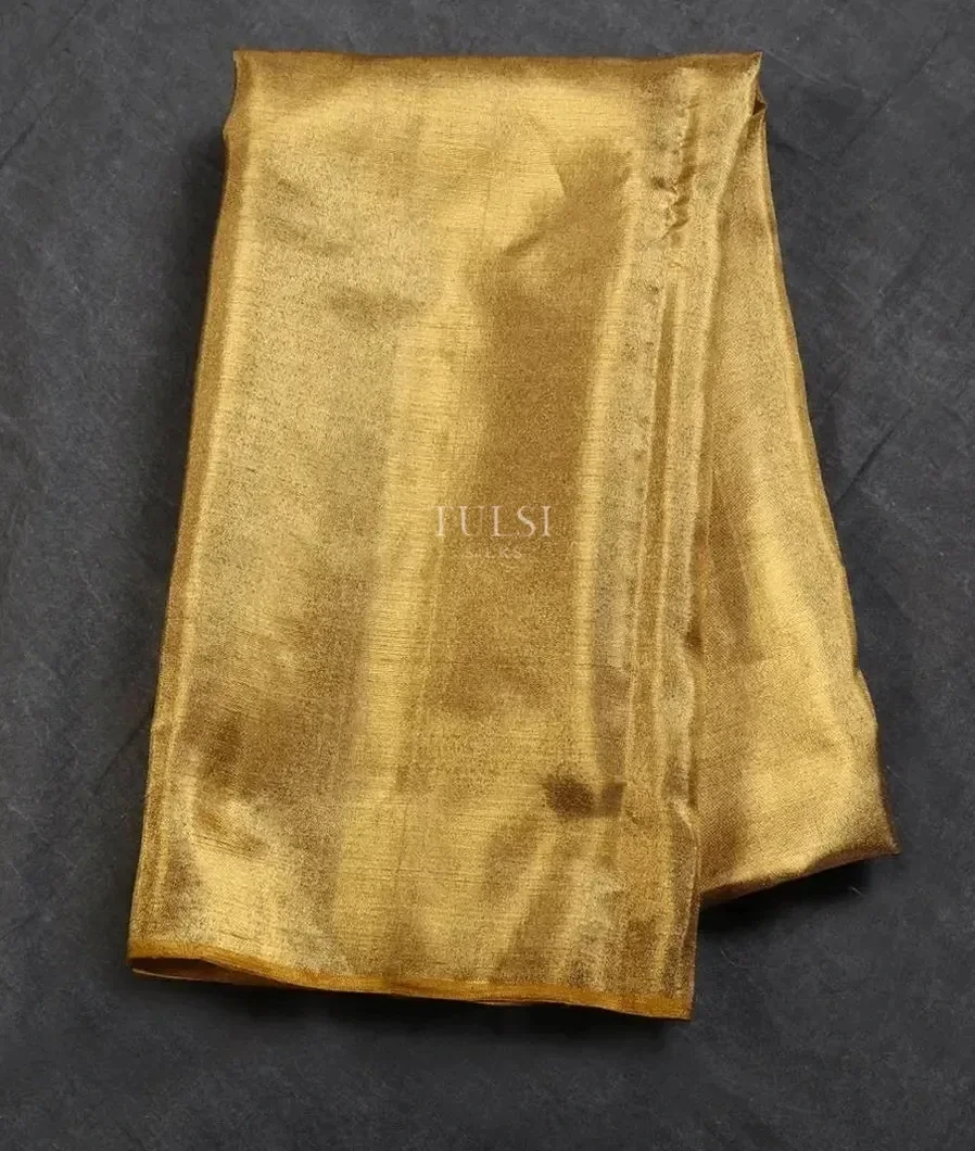 Gold Kanjivaram Silk Tissue Blouse T506983-1-image